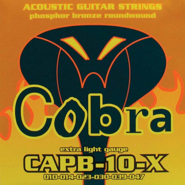 Cobra  CAPB-10-X string set acoustic