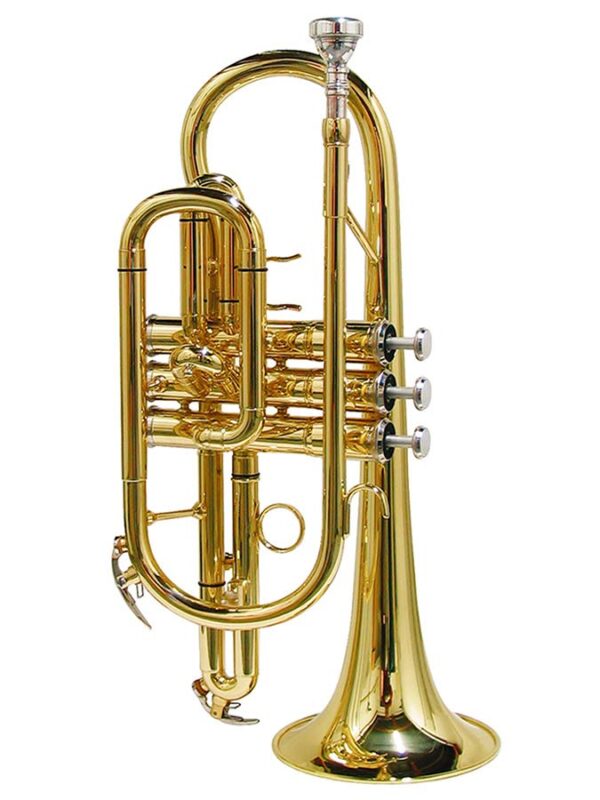 Stewart Ellis Pro Series SE-1200-L cornet