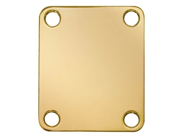 Boston  NP-64-G neck mounting plate