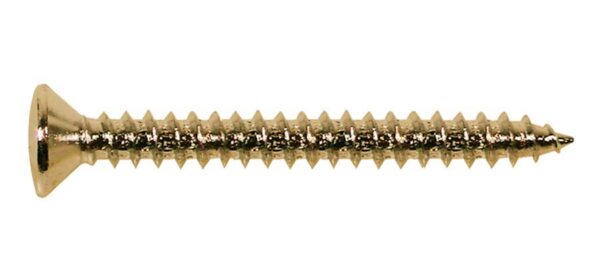 Boston  TS-04-G screw