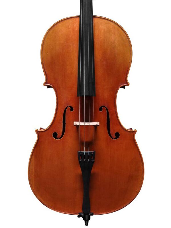 Scott Cao Student STC17CE cello 4/4