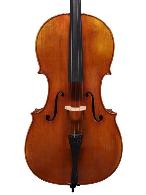 Scott Cao Conservatory STC17E cello 4/4