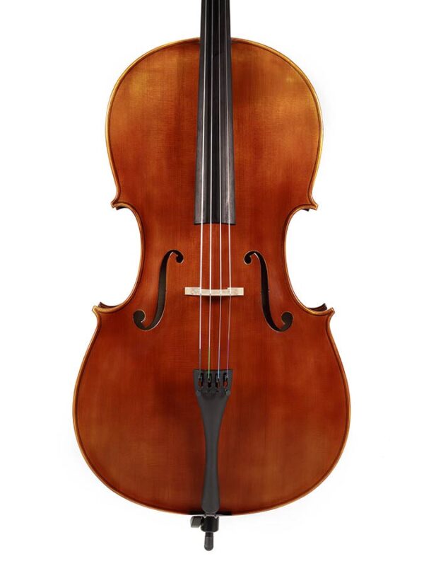 Rudolph Elementary RC-1044 cello 4/4