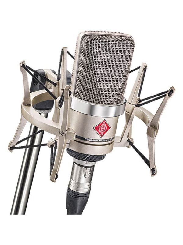 Neumann TLM Series TLM102Stu large diaphragm microphone