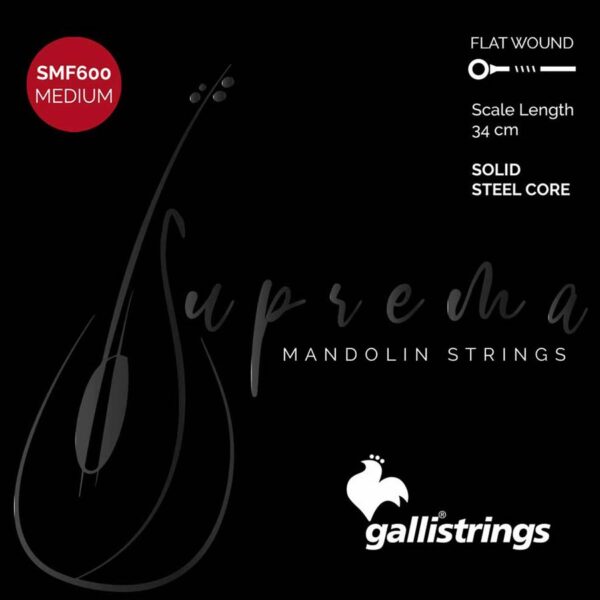 Galli Suprema SMF-600 string set mandolin